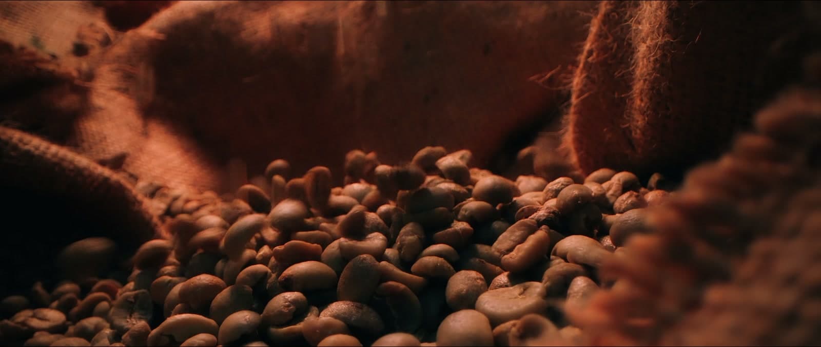 The Aroma Coffee Service team across Southwest Florida