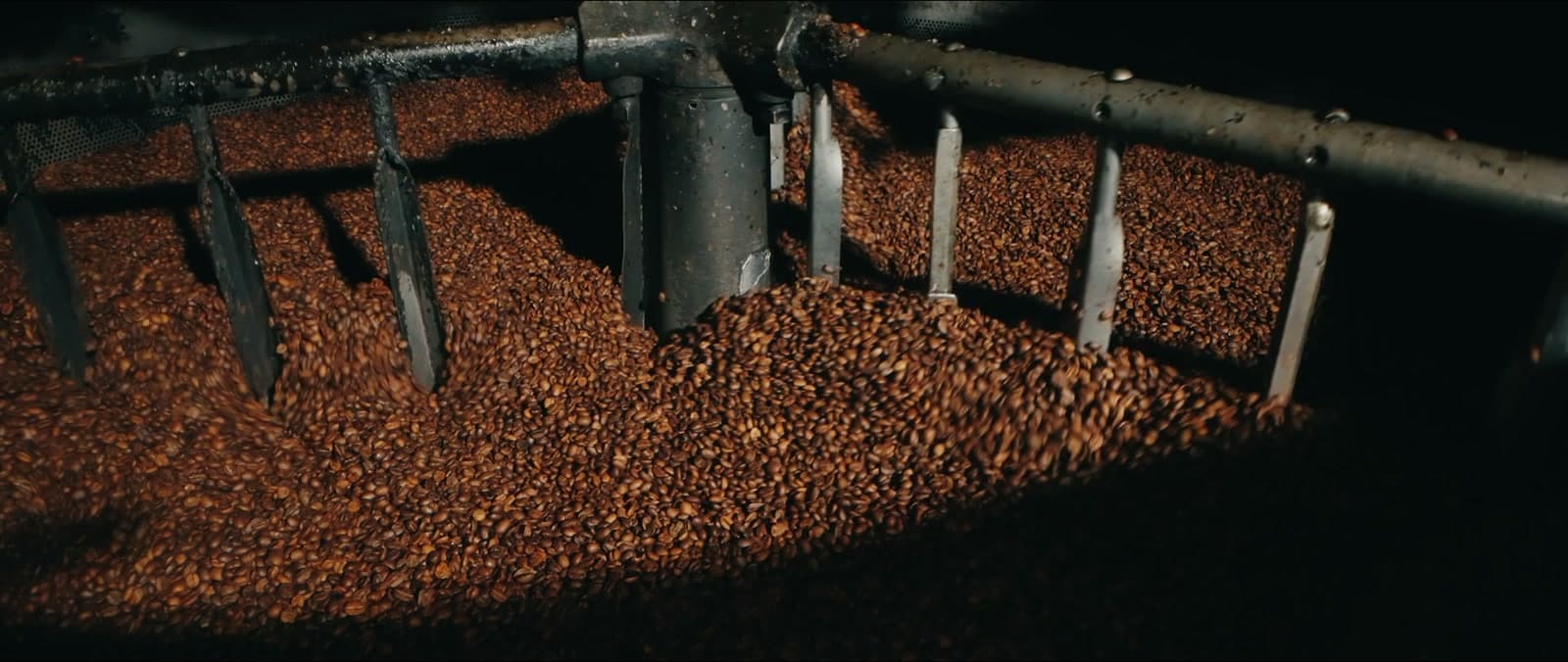 The Aroma Coffee Service team across Southwest Florida