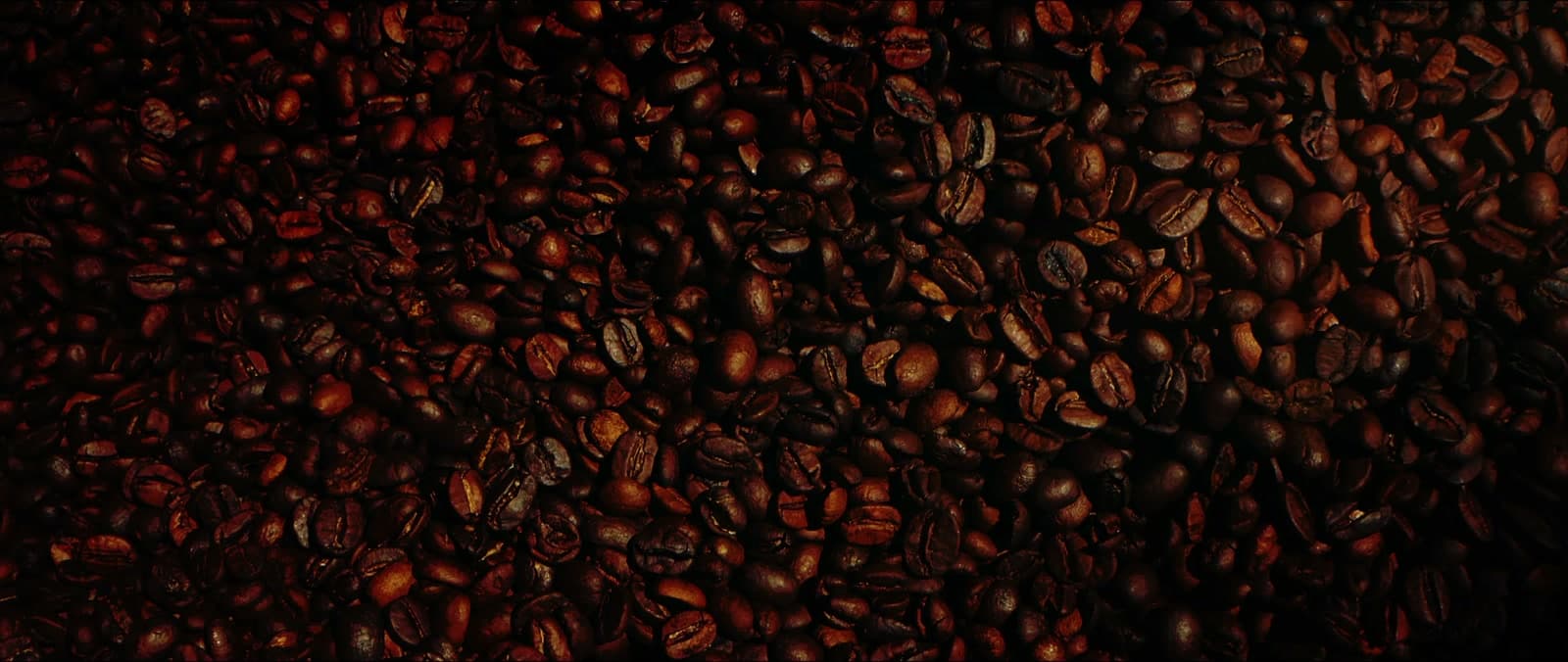 The Aroma Coffee Service team across Southwest Florida