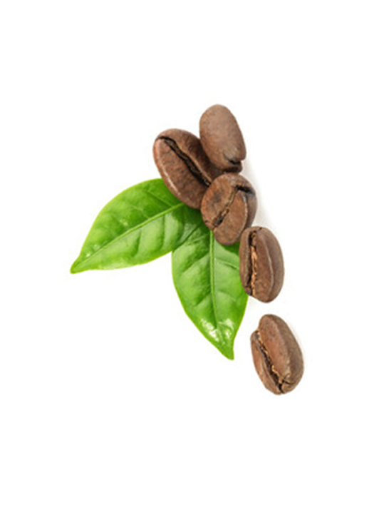 Services Office Coffee Delivery Aroma Coffee